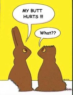 lapins de chocolat de Pâques drôle