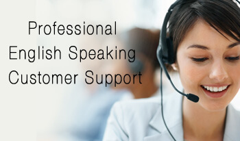 Professional English Speaking Customer Support