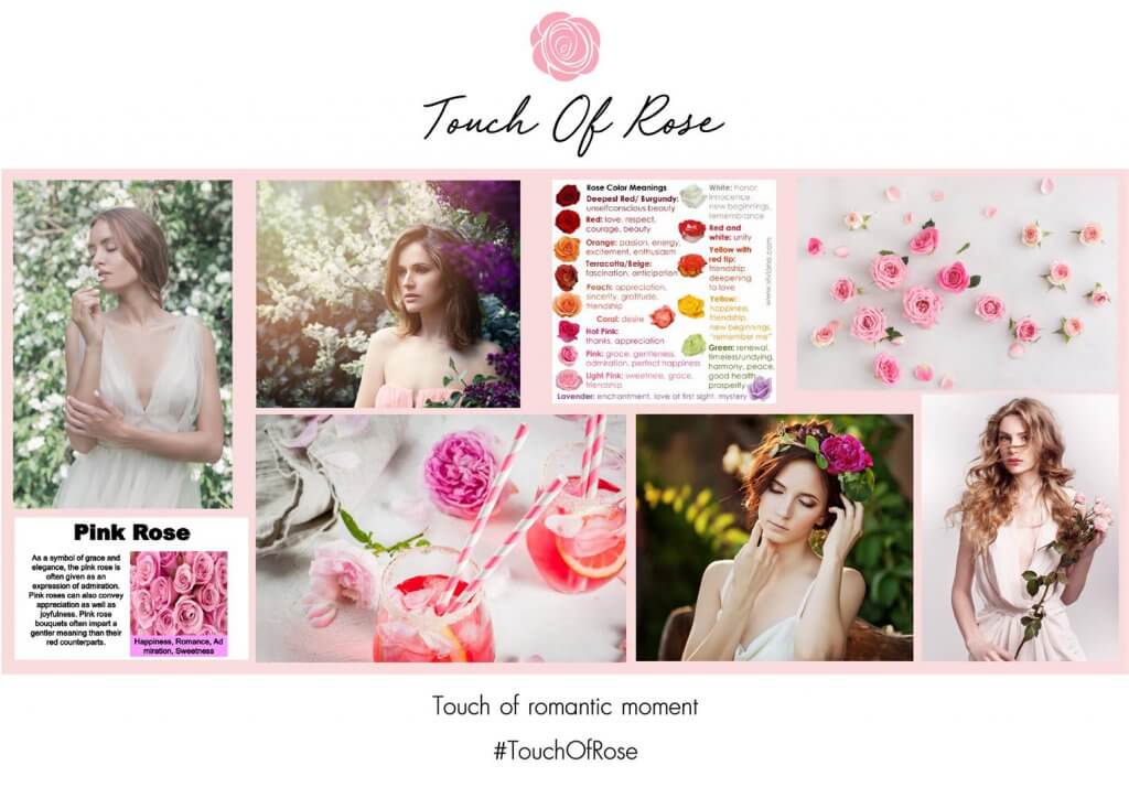 Touch of Rose concept