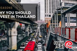 Investir en Thaïlande-Royisal