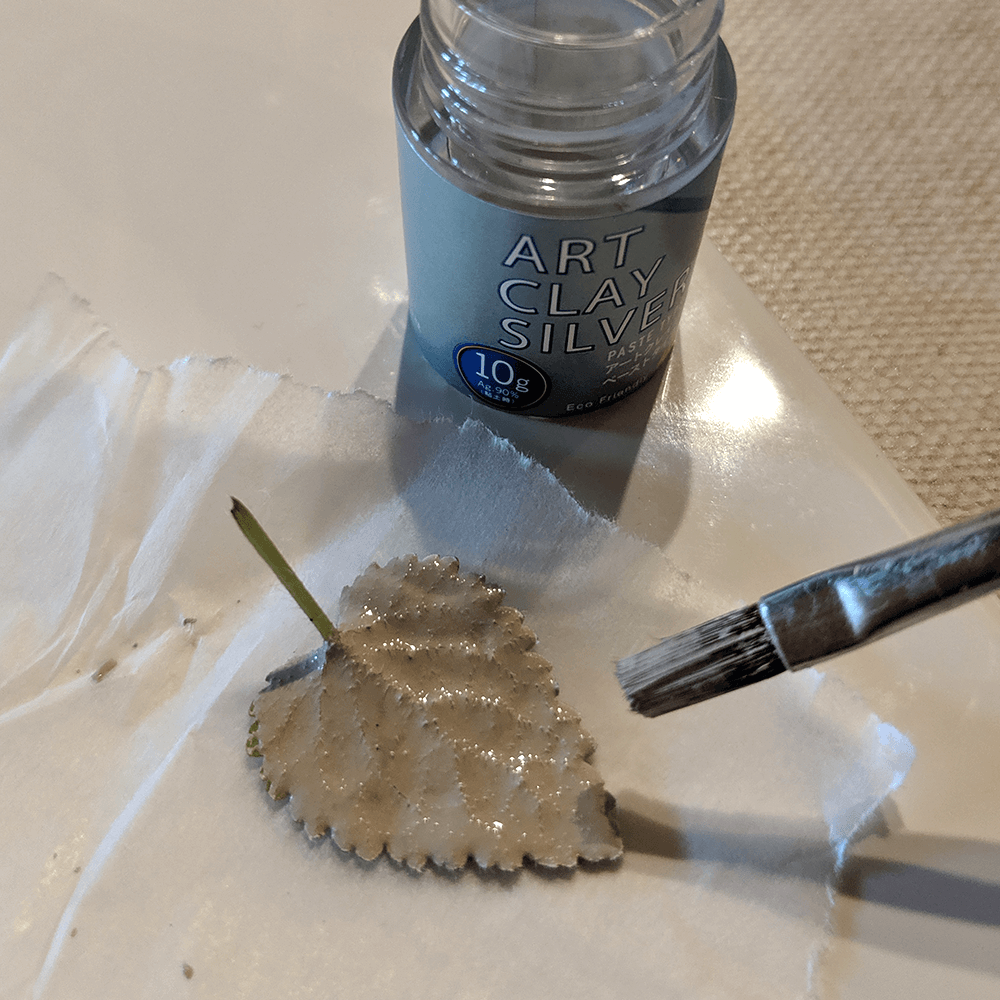 Coat Your Leaf with Diluted Paste